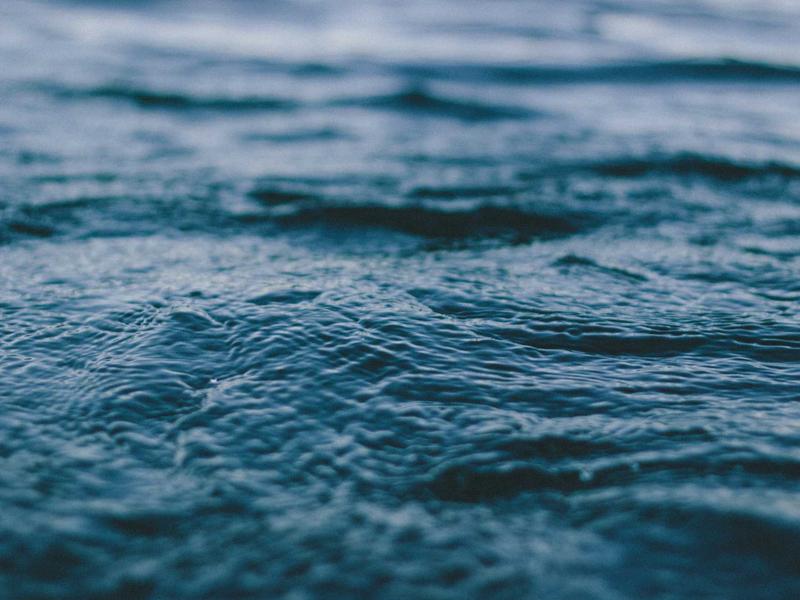 剧本杀DM<br>yxepqio.cn 上帝视角旁白